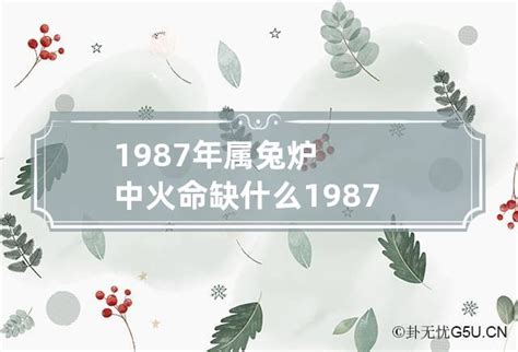 1987 五行|火兔命里缺什么？ 87年出生命理解析 ！